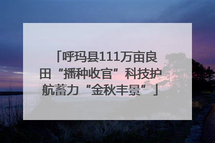 呼玛县111万亩良田“播种收官”科技护航蓄力“金秋丰景”