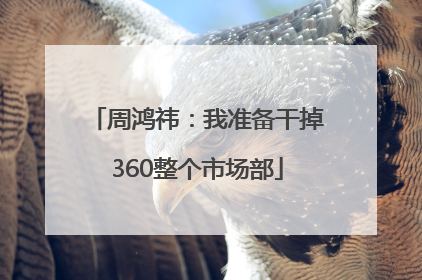 周鸿祎：我准备干掉360整个市场部