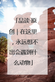 品读·原创｜在这里，永远想不出会遇到什么动物