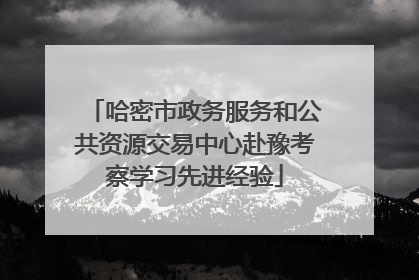 哈密市政务服务和公共资源交易中心赴豫考察学习先进经验
