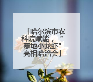 哈尔滨市农科院赋能，“寒地小龙虾”亮相哈洽会