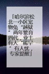 哈尔滨松北一小区宠物兔“越狱”两年繁育四代，业主有人“稀罕”有人忧，专家提醒