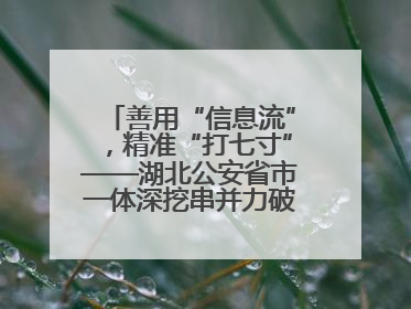 善用“信息流”，精准“打七寸”——湖北公安省市一体深挖串并力破民生案