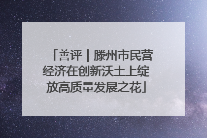 善评｜滕州市民营经济在创新沃土上绽放高质量发展之花