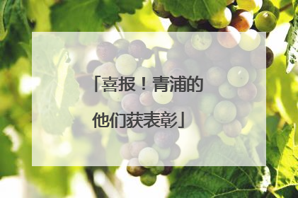 喜报！青浦的他们获表彰