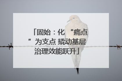 固始：化 “痛点”为支点 撬动基层治理效能跃升