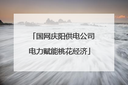 国网庆阳供电公司电力赋能桃花经济