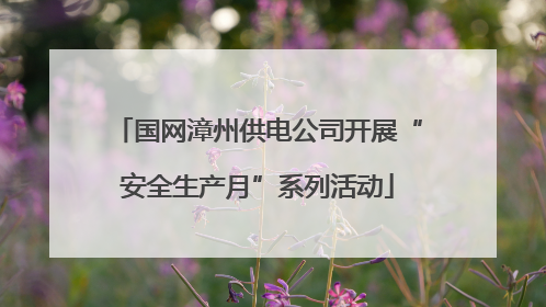 国网漳州供电公司开展“安全生产月”系列活动