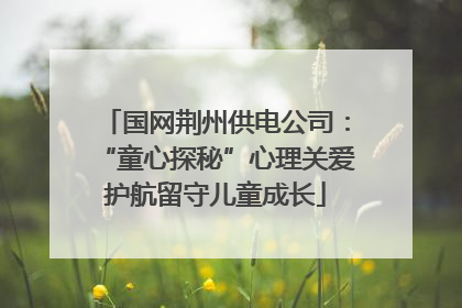 国网荆州供电公司：“童心探秘”心理关爱护航留守儿童成长