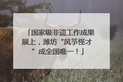 国家级非遗工作成果展上，潍坊“风筝怪才”成全国唯一！