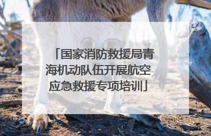 国家消防救援局青海机动队伍开展航空应急救援专项培训
