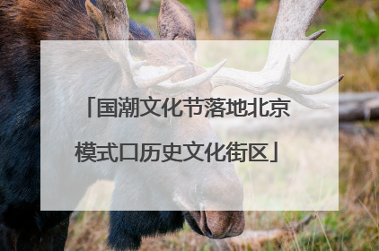 国潮文化节落地北京模式口历史文化街区