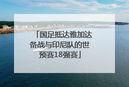 国足抵达雅加达备战与印尼队的世预赛18强赛