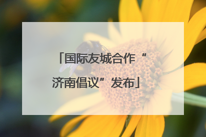 国际友城合作“济南倡议”发布