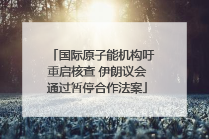 国际原子能机构吁重启核查 伊朗议会通过暂停合作法案