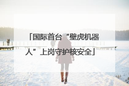 国际首台“壁虎机器人”上岗守护核安全