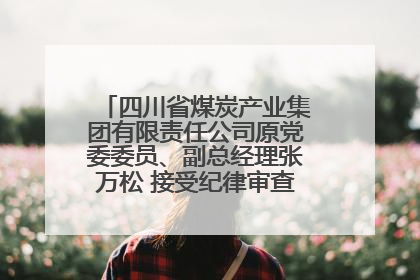 四川省煤炭产业集团有限责任公司原党委委员、副总经理张万松 接受纪律审查和监察调查