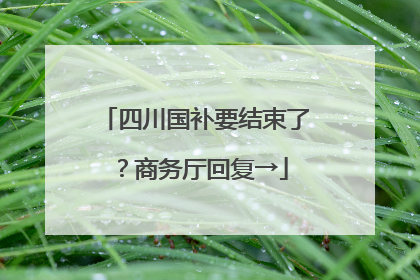 四川国补要结束了？商务厅回复→