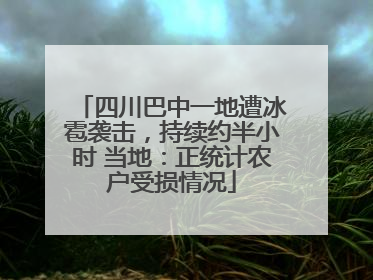 四川巴中一地遭冰雹袭击，持续约半小时 当地：正统计农户受损情况
