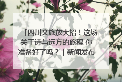 四川文旅放大招！这场关于诗与远方的旅程 你准备好了吗？｜新闻发布最前线·深一度