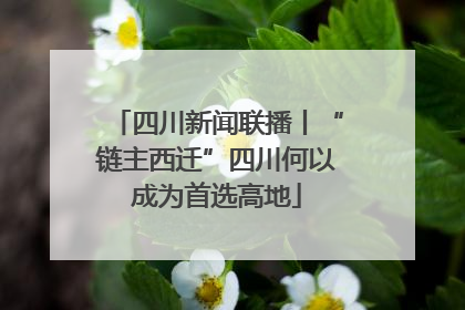 四川新闻联播丨“链主西迁”四川何以成为首选高地