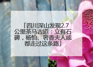 四川深山发现2.7公里茶马古道：立有石碑，杨慎、奢香夫人或都走过这条路