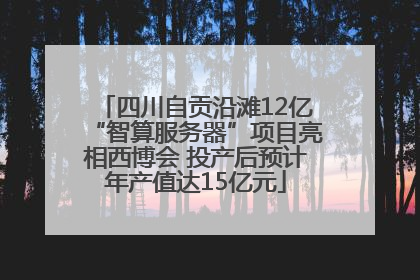 四川自贡沿滩12亿“智算服务器”项目亮相西博会 投产后预计年产值达15亿元