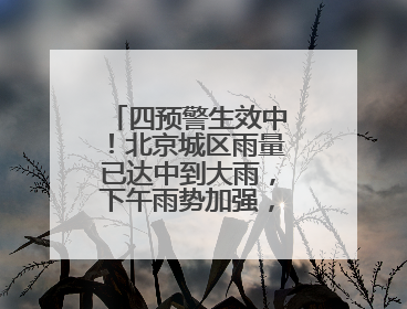 四预警生效中！北京城区雨量已达中到大雨，下午雨势加强，局地暴雨