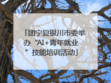 团宁夏银川市委举办“AI+青年就业”技能培训活动