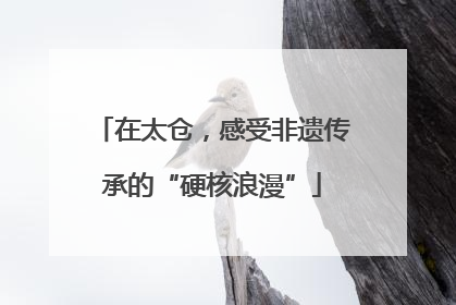 在太仓，感受非遗传承的“硬核浪漫”