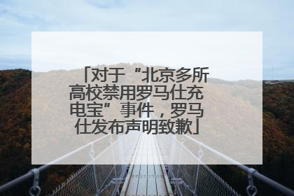 对于“北京多所高校禁用罗马仕充电宝”事件，罗马仕发布声明致歉