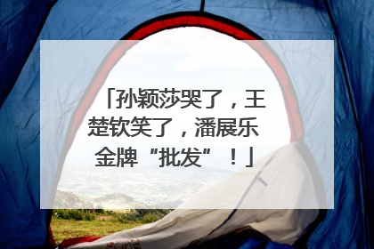 孙颖莎哭了，王楚钦笑了，潘展乐金牌“批发”！