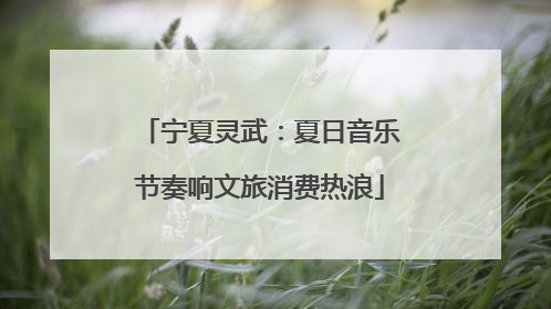 宁夏灵武：夏日音乐节奏响文旅消费热浪