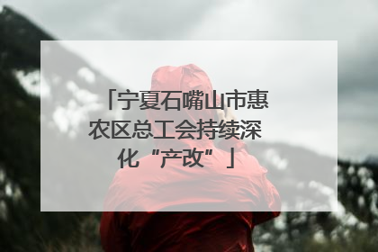 宁夏石嘴山市惠农区总工会持续深化“产改”