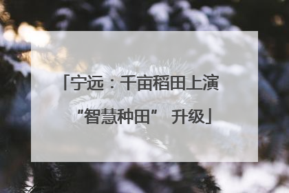 宁远：千亩稻田上演 “智慧种田” 升级