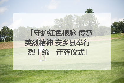 守护红色根脉 传承英烈精神 安乡县举行烈士统一迁葬仪式