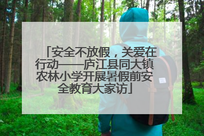 安全不放假，关爱在行动——庐江县同大镇农林小学开展暑假前安全教育大家访