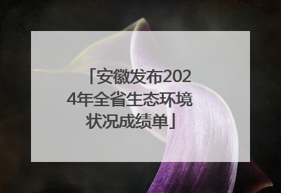 安徽发布2024年全省生态环境状况成绩单