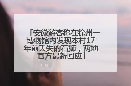 安徽游客称在徐州一博物馆内发现本村17年前丢失的石狮，两地官方最新回应