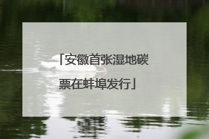 安徽首张湿地碳票在蚌埠发行