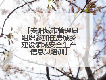 安阳城市管理局组织参加住房城乡建设领域安全生产信息员培训