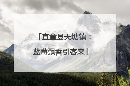 宜章县天塘镇：蓝莓飘香引客来