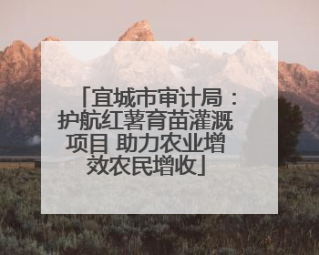 宜城市审计局：护航红薯育苗灌溉项目 助力农业增效农民增收