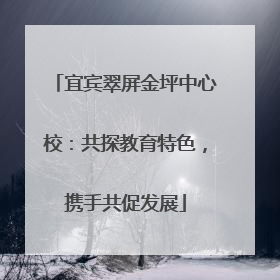 宜宾翠屏金坪中心校：共探教育特色，携手共促发展