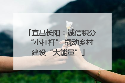 宜昌长阳：诚信积分“小杠杆” 撬动乡村建设“大能量”