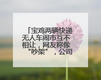 宝鸡两辆快递无人车闹市互不相让，网友称像“吵架”，公司：监测到异常会有技术或人为干预处置
