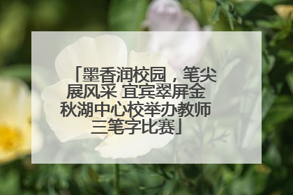 墨香润校园，笔尖展风采 宜宾翠屏金秋湖中心校举办教师三笔字比赛