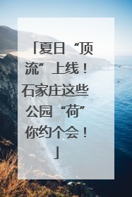 夏日“顶流”上线！石家庄这些公园“荷”你约个会！