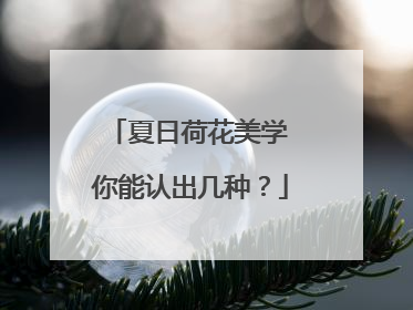 夏日荷花美学 你能认出几种？