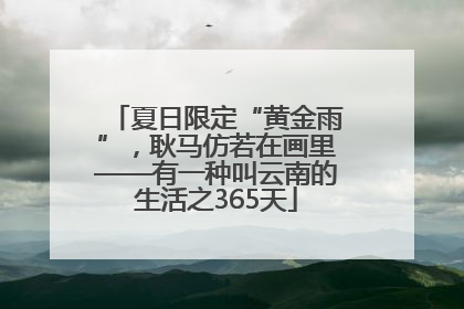 夏日限定“黄金雨”，耿马仿若在画里——有一种叫云南的生活之365天